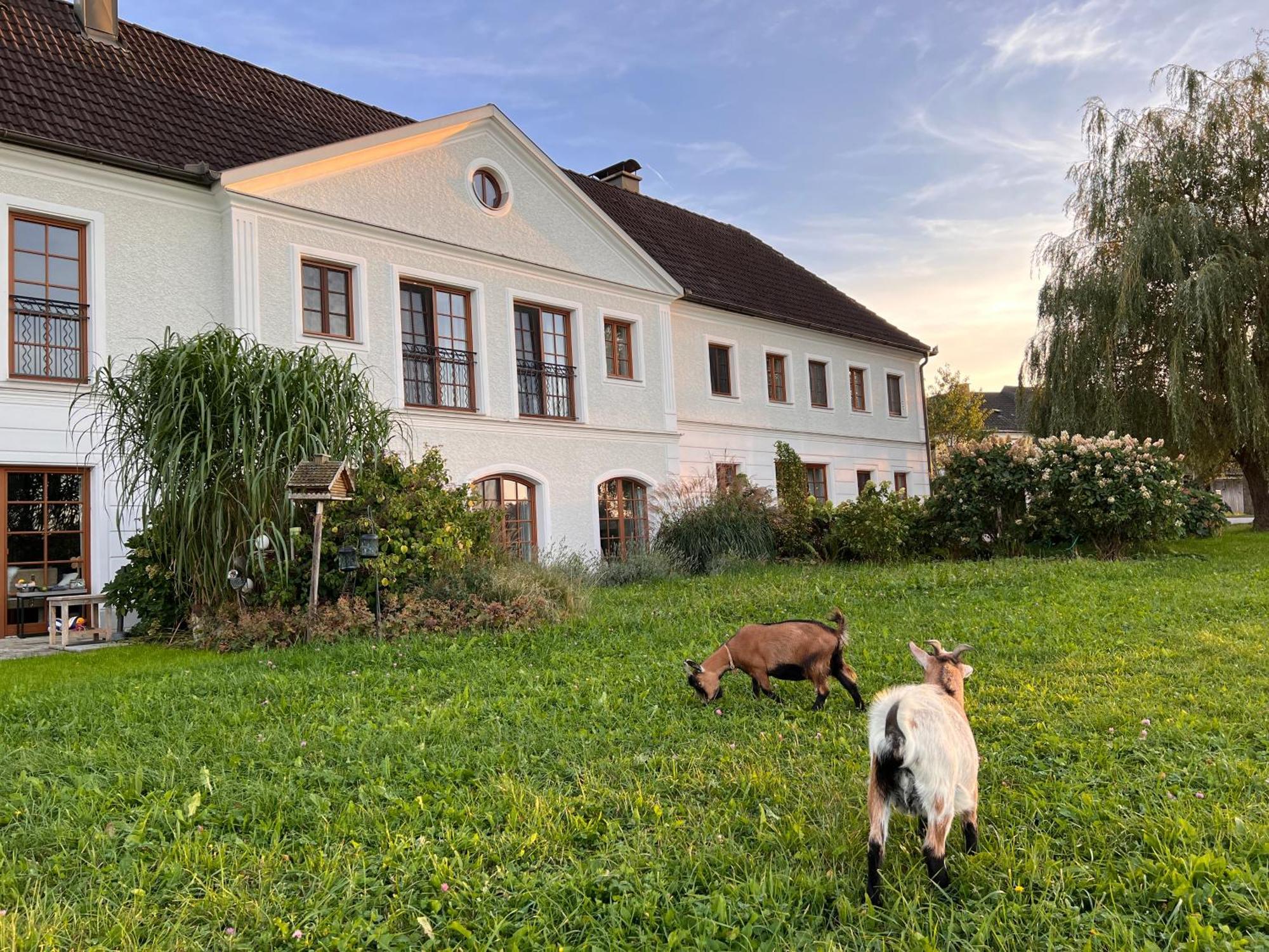 LANDHAUS AIGNER ALLHARTSBERG sterreich von 105 HOTEL MIX